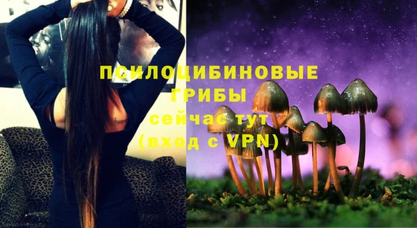 дурь Абаза