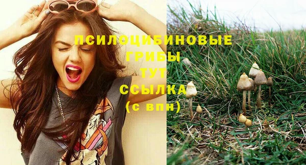 дурь Абаза